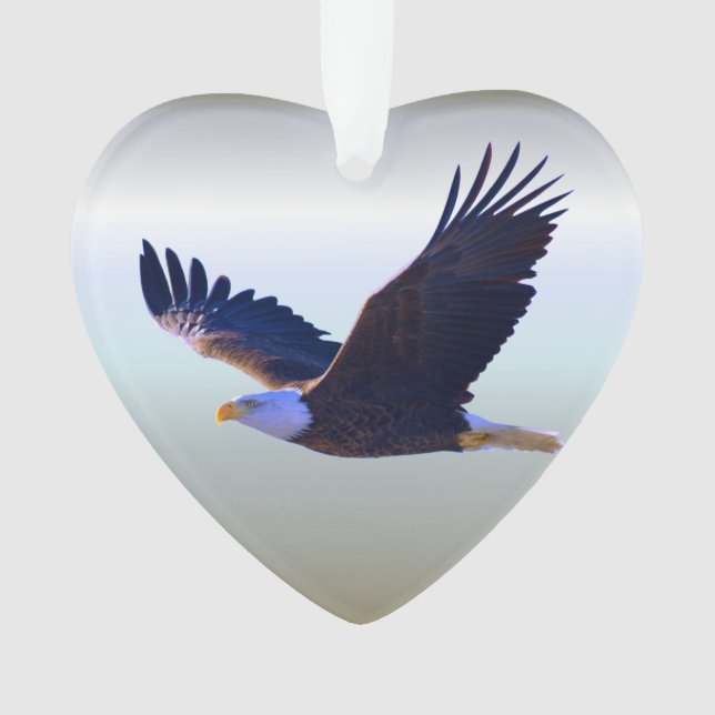 Adlerfliegen Ornament (Vorderseite)