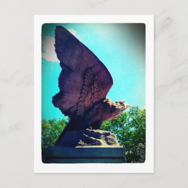 Adlerflug Postkarte (Vorderseite)