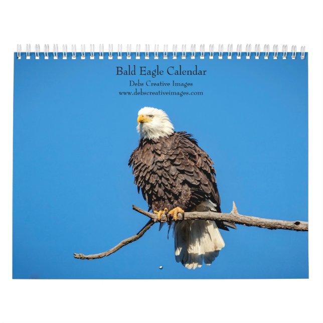 Adlerkalender 2026 kalender (Titelbild)