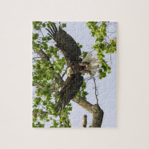 Adlerlandungsansatz Puzzle