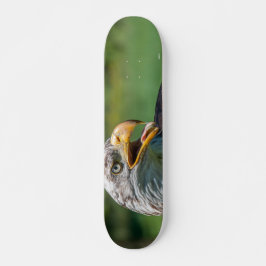 Adlerphoto Skateboard