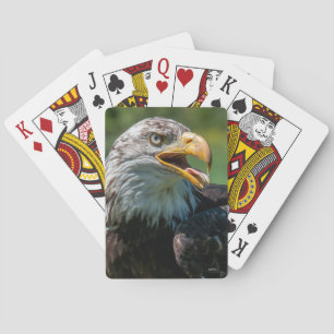 Adlerphoto Spielkarten