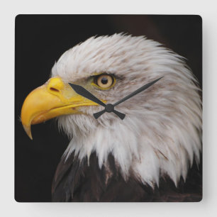 Adlerportrait Quadratische Wanduhr