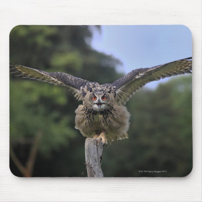 Adlerschale (Bubo bubo) Mousepad (Vorne)