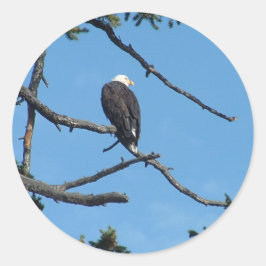 Adlersticker Runder Aufkleber