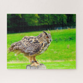 Adlervogel der Beute. Puzzle