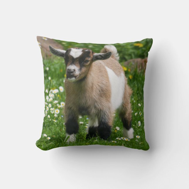 Adlige nigerianische Zwergziege Kissen (Vorderseite)