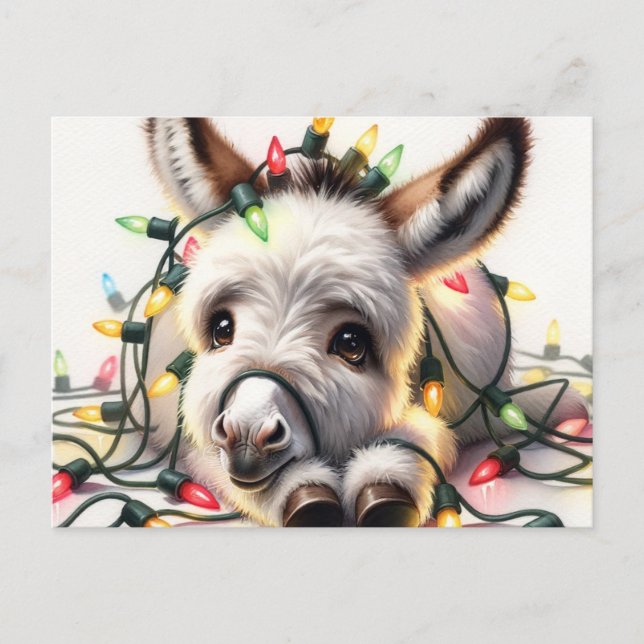 Adlige WeihnachtsDonkey ummantelt in den Lichtern Postkarte (Vorderseite)