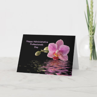 Admin Pro Tag Rosa Orchid Reflektion Feiertagskarte