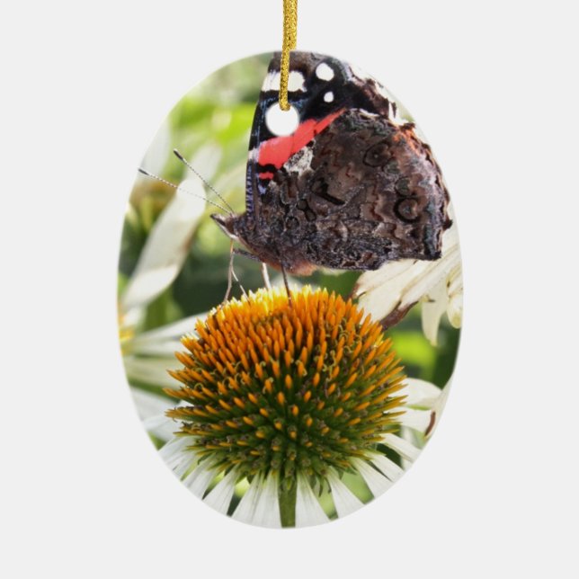 Admiral Butterfly auf Blume Keramikornament (Vorne)