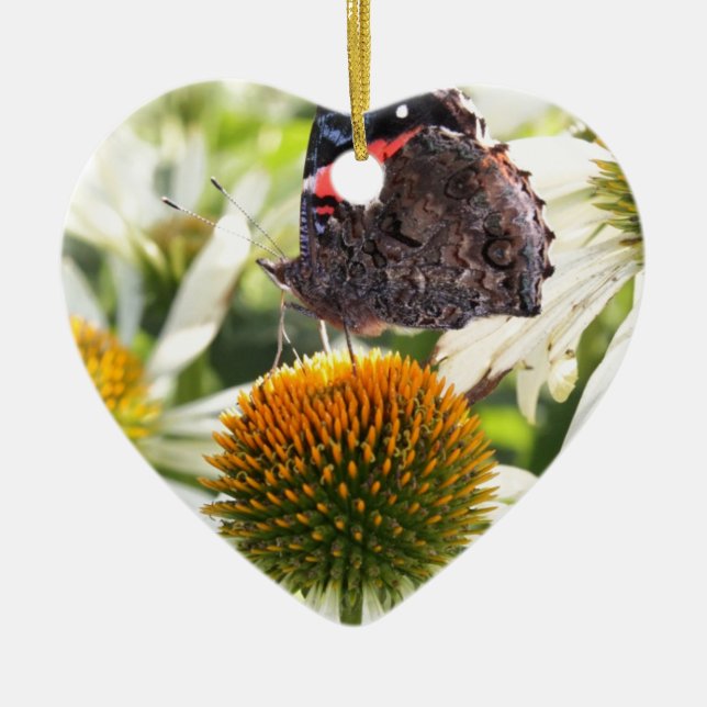 Admiral Butterfly auf Blume Keramikornament (Vorne)