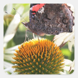 Admiral Butterfly auf Blume Quadratischer Aufkleber