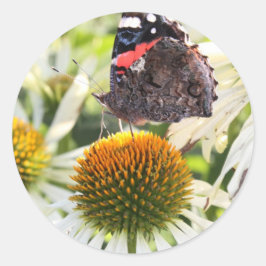 Admiral Butterfly auf Blume Runder Aufkleber