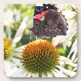 Admiral Butterfly auf Blume Untersetzer