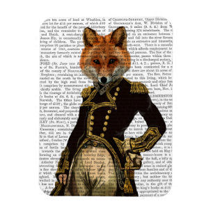 AdmiralFox voll Magnet