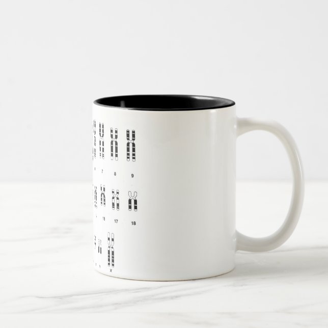 ADN humano Zweifarbige Tasse (Rechts)