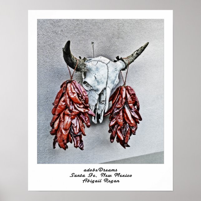 adobeDreams by Abigail Regan poster (Vorne)