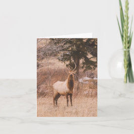 Adolescence - 4" x 5.6" Notecard Feiertagskarte