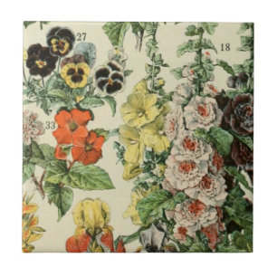 Adolph Millot Botanische Blumendetails Fliese