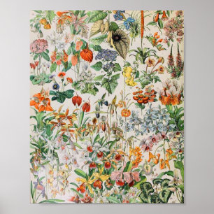 Adolphe Millot Blume D Poster