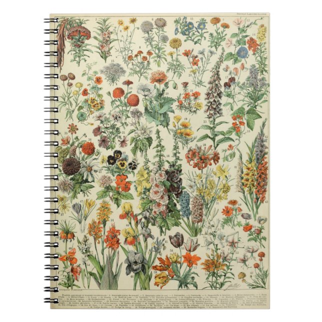 Adolphe Millot Blumen Muster-A Notizbuch Notizblock (Vorderseite)