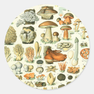 Adolphe Millot Champignon-Pilz-Druck Runder Aufkleber