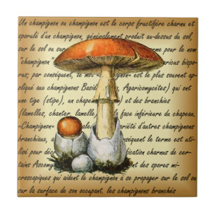 Adolphe Millot ~ Champignons-pour tous-fixed ~  Fliese