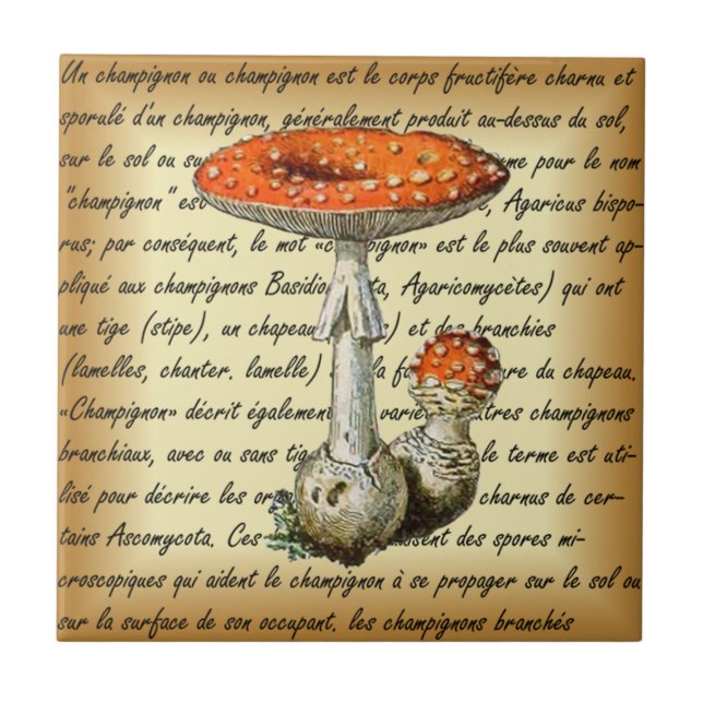 Adolphe Millot ~ Champignons-pour tous fixiert ~  Fliese (Vorderseite)