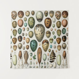 Adolphe Millot Dark Academia Vintage Vogel Ei Kuns Wandteppich