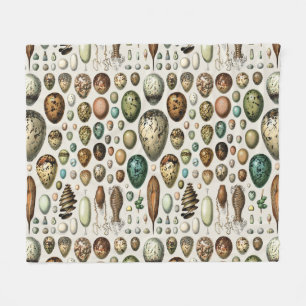 Adolphe Millot Dark Academia Vintage-Vogelei-Kunst Fleecedecke