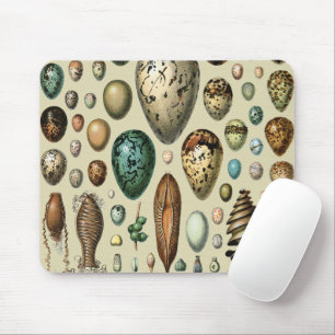 Adolphe Millot Dark Academia Vintage-Vogelei-Kunst Mousepad