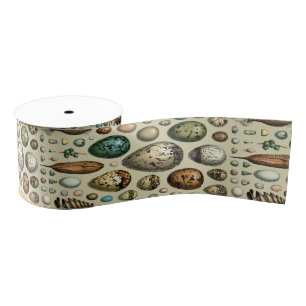 Adolphe Millot Dark Academia Vintage-Vogelei-Kunst Ripsband