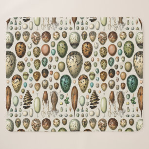 Adolphe Millot Dark Academia Vintage-Vogelei-Kunst Sherpadecke
