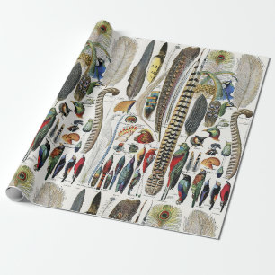 Adolphe Millot Dark Academia Vintage Vogelfeder Geschenkpapier