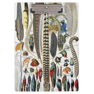 Adolphe Millot Dark Academia Vintage Vogelfeder Klemmbrett