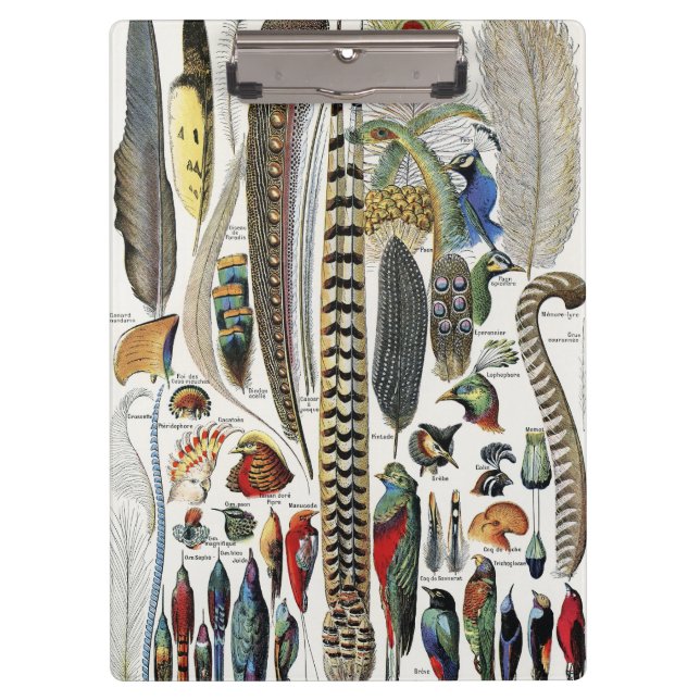 Adolphe Millot Dark Academia Vintage Vogelfeder Klemmbrett (Vorderseite)