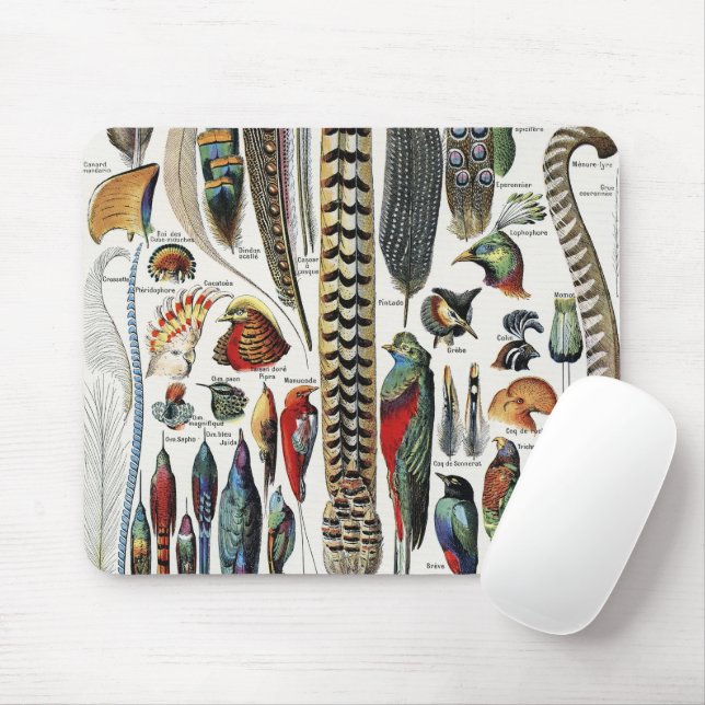 Adolphe Millot Dark Academia Vintage Vogelfeder Mousepad (Mit Mouse)