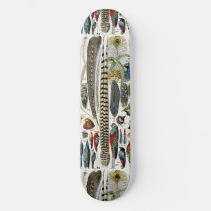 Adolphe Millot Dark Academia Vintage Vogelfeder Skateboard
