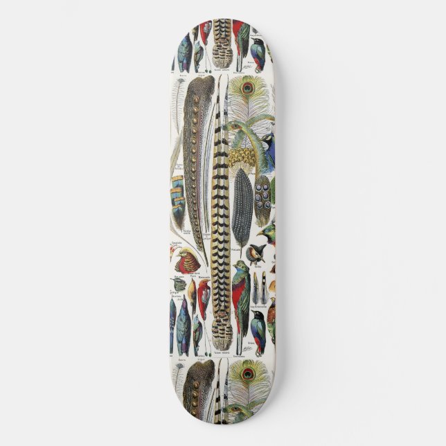 Adolphe Millot Dark Academia Vintage Vogelfeder Skateboard (Vorderseite)