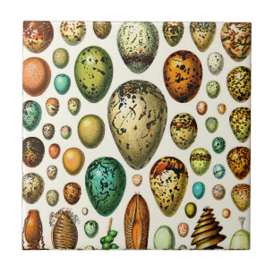 Adolphe Millot Ei-Keramiken Fliese