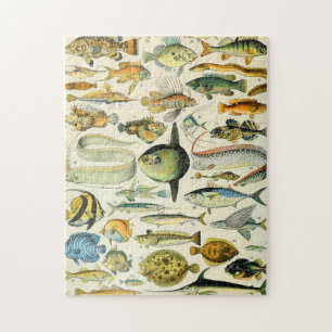 Adolphe Millot Fisch A Puzzle