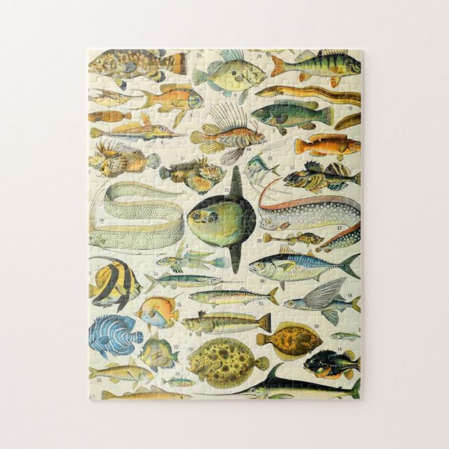 Adolphe Millot Fisch A Puzzle (Vertikal)