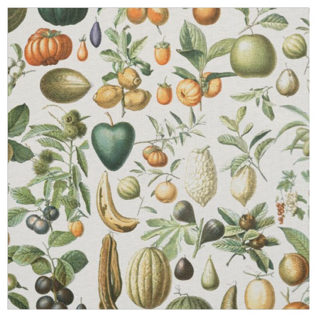 Adolphe Millot Früchte Stoff (Muster)