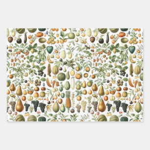 Adolphe Millot Fruit Pattern Geschenkpapier Set