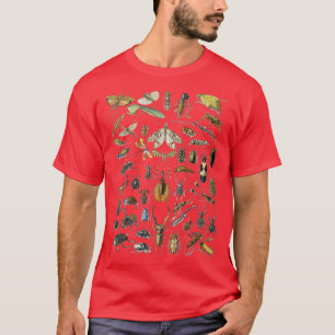 Adolphe Millot Insekten Spider T-Shirt