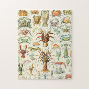 Adolphe Millot Krebstiere Puzzle