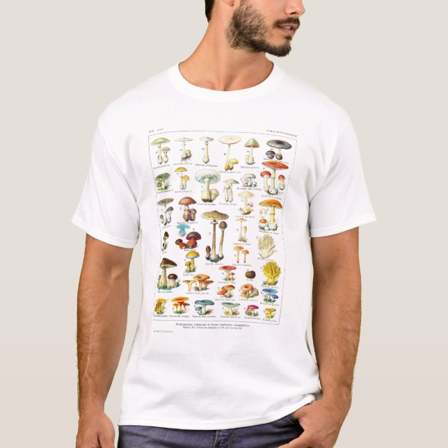 Adolphe Millot Mushroom Larousse - Französisches P T-Shirt (Vorderseite)