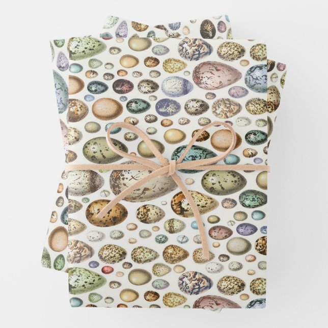 Adolphe Millot Ouefs Eggs Geschenkpapier Set (Beispiel)