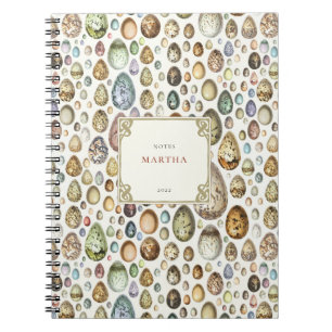 Adolphe Millot Ouffs Eggs Notebook Notizblock