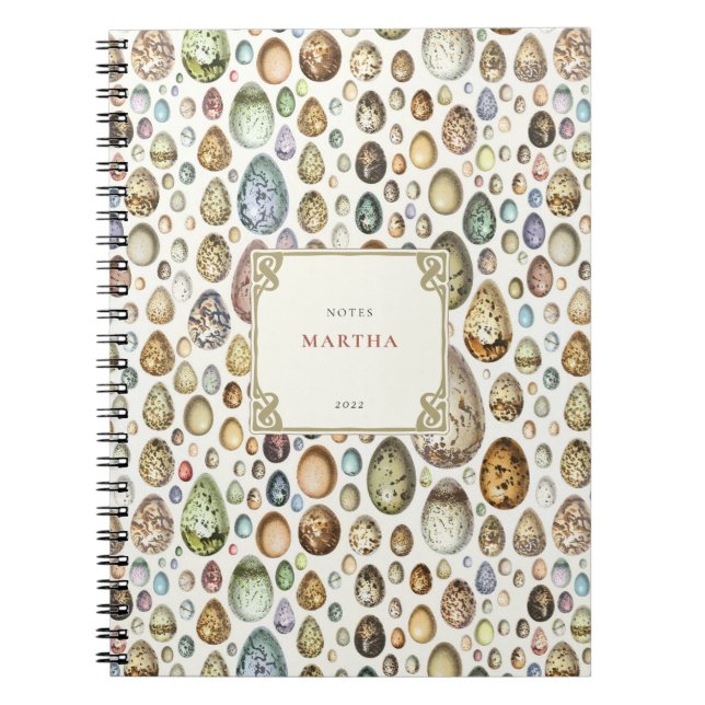 Adolphe Millot Ouffs Eggs Notebook Notizblock (Vorderseite)